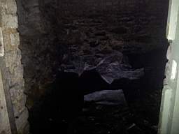 fkillineybeforeinternal 1270.jpg